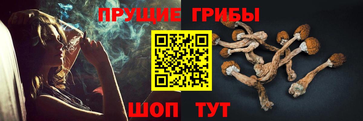 Чехов  Псилоцибиновые грибы Cubensis  как найти наркотики  Вход с VPN 